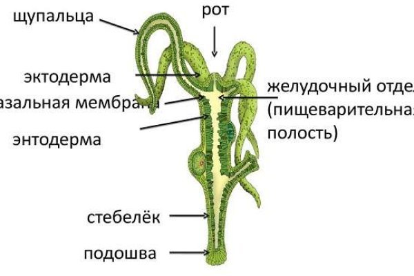 Ссылки кракен телеграф