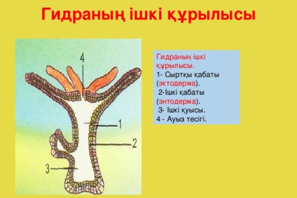 Кракен актуальное зеркало